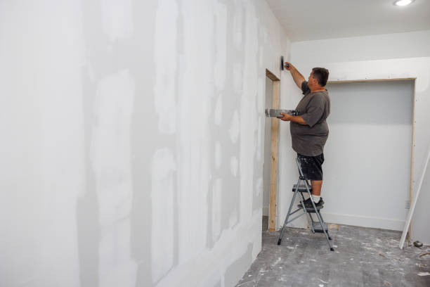 Best Drywall Sanding and Smoothing  in USA